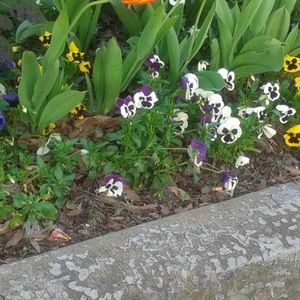 Meet your Posher, I'm nice